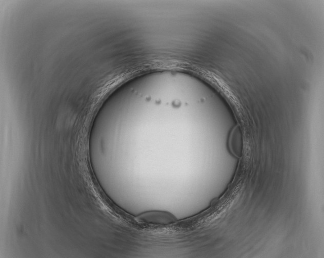 X0000114420433200910161057