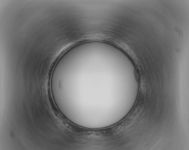 X0000114420434200910161057