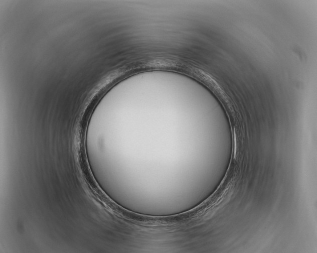 X0000114420435200910161057
