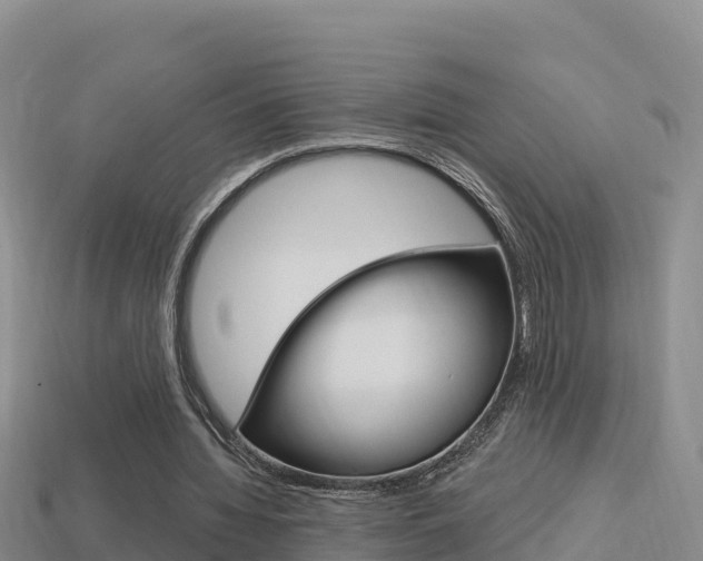 X0000114420436200910161057