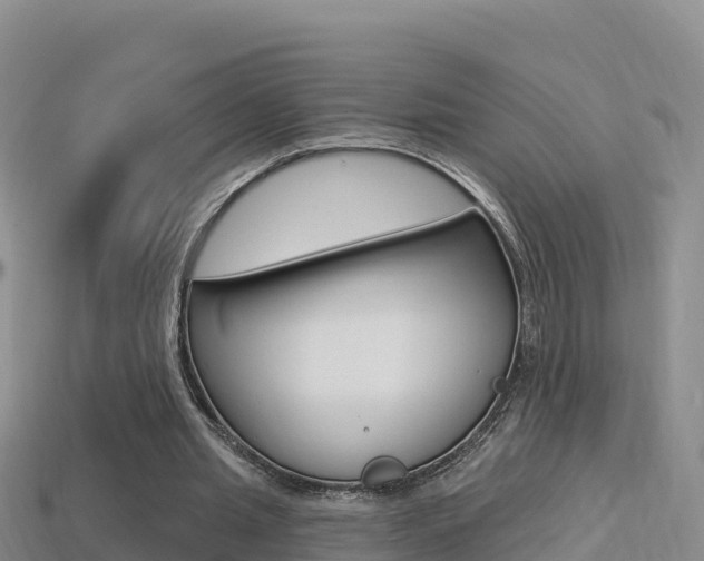 X0000114420437200910161057