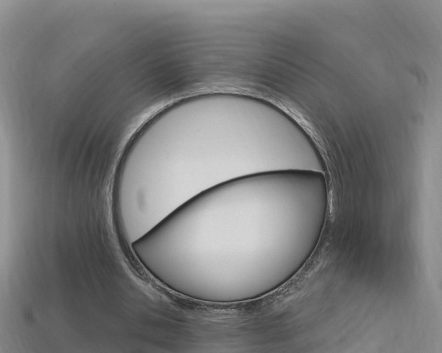 X0000114420438200910161057
