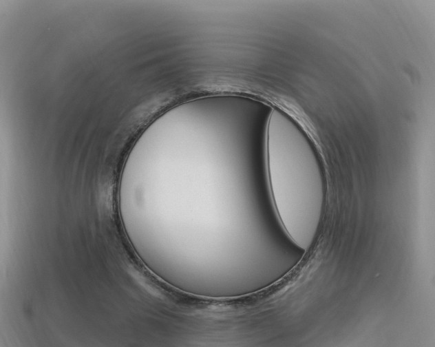 X0000114420441200910161057