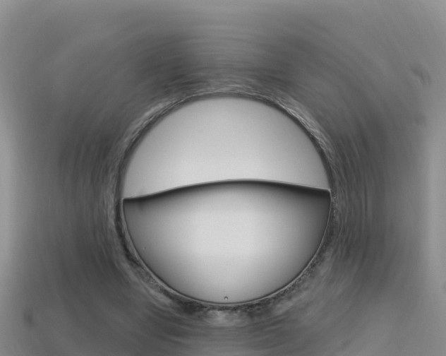 X0000114420442200910161057