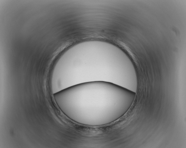 X0000114420443200910161057