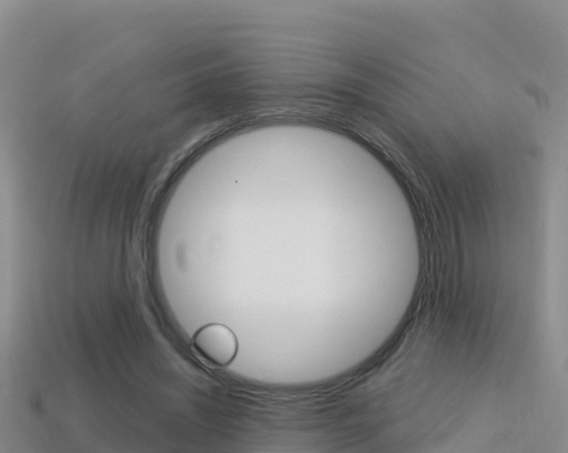 X0000114420444200910161057