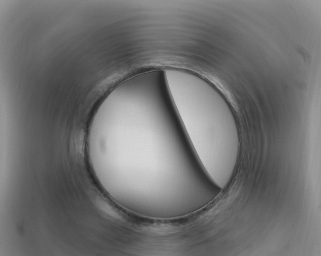 X0000114420445200910161057