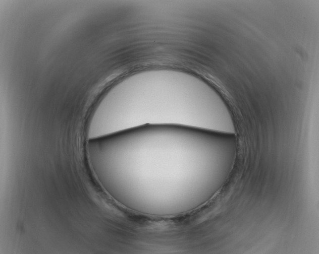 X0000114420446200910161057