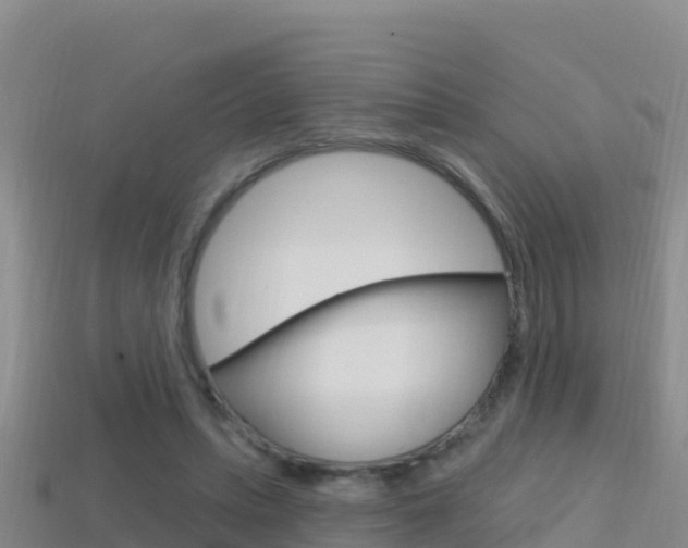 X0000114420447200910161057