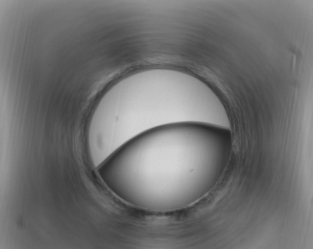 X0000114420448200910161057