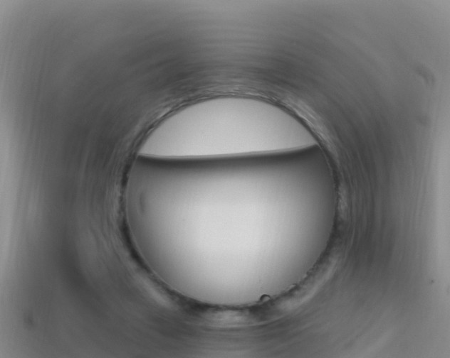 X0000114420449200910161057