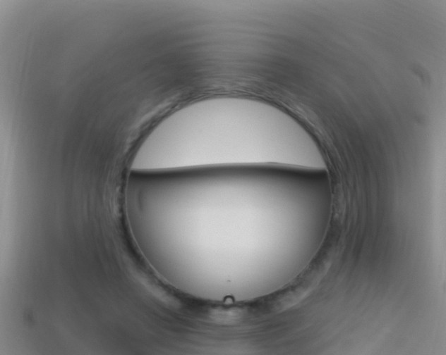 X0000114420450200910161057