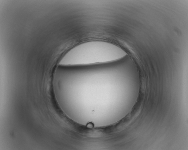 X0000114420451200910161057