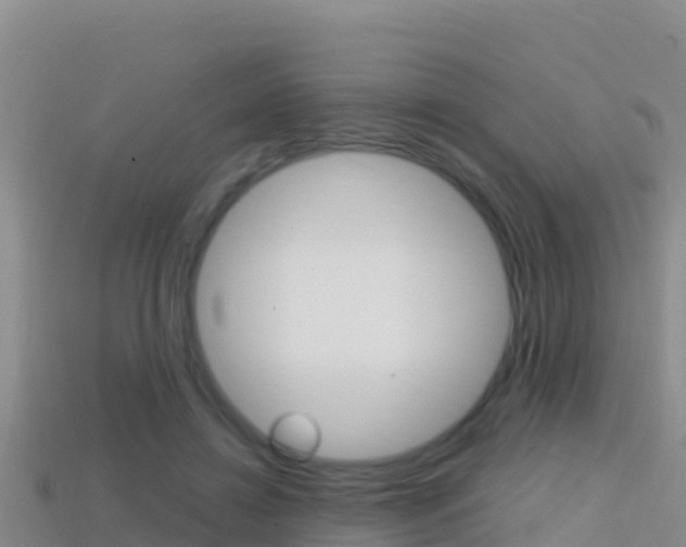 X0000114420452200910161057