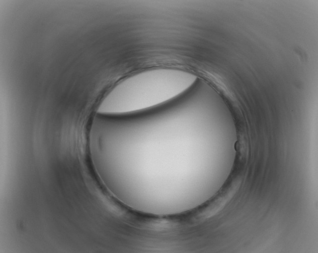 X0000114420453200910161057