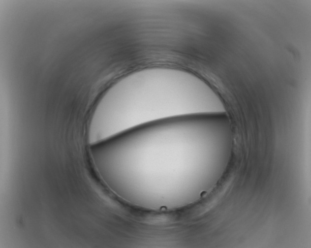 X0000114420454200910161057