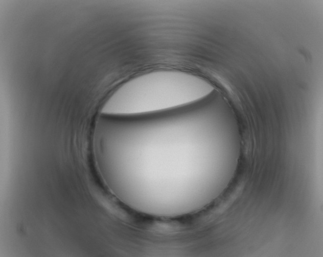 X0000114420455200910161057