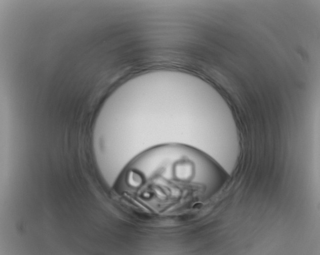 X0000114420456200910161057