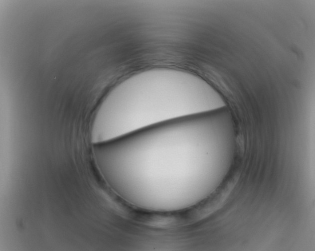 X0000114420458200910161057