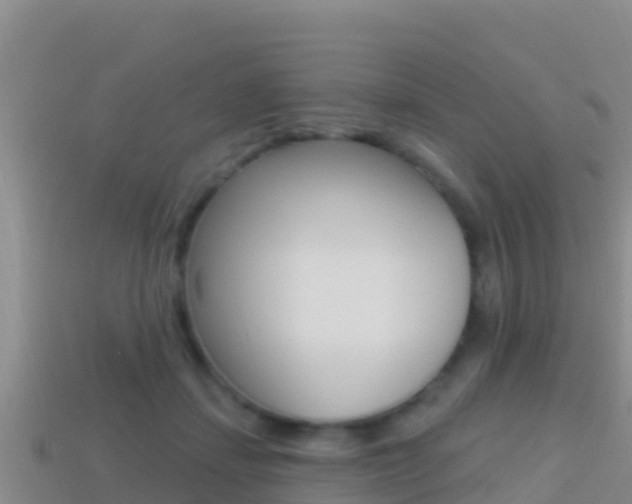 X0000114420459200910161057