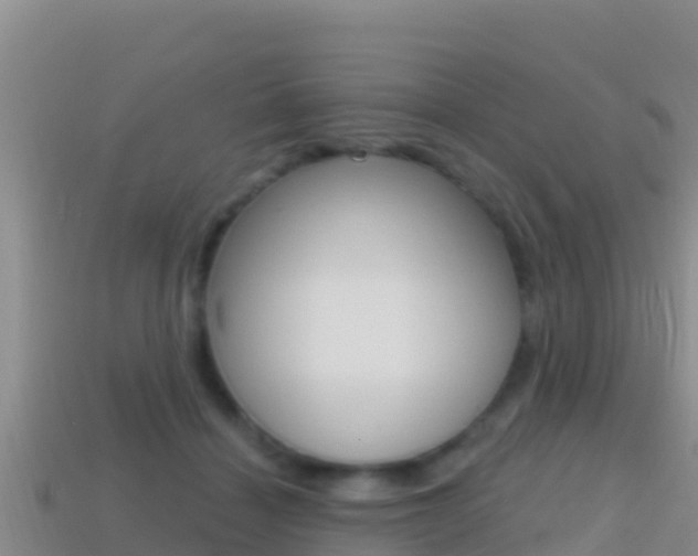 X0000114420460200910161057