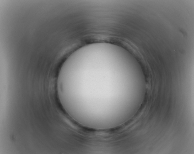 X0000114420462200910161057