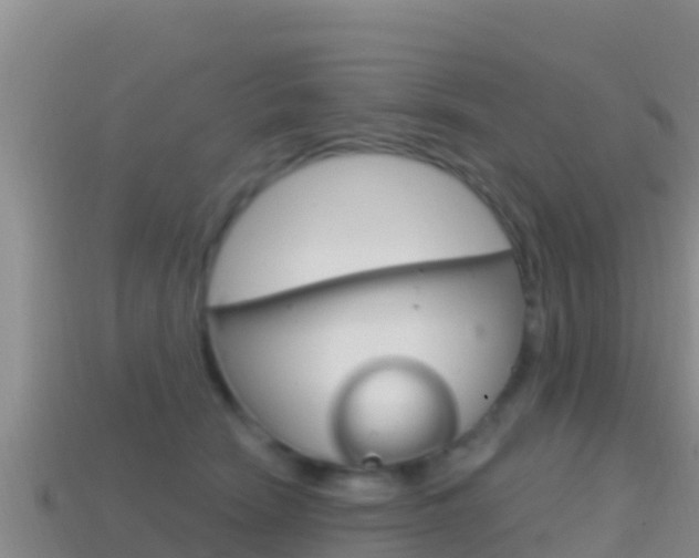X0000114420466200910161058