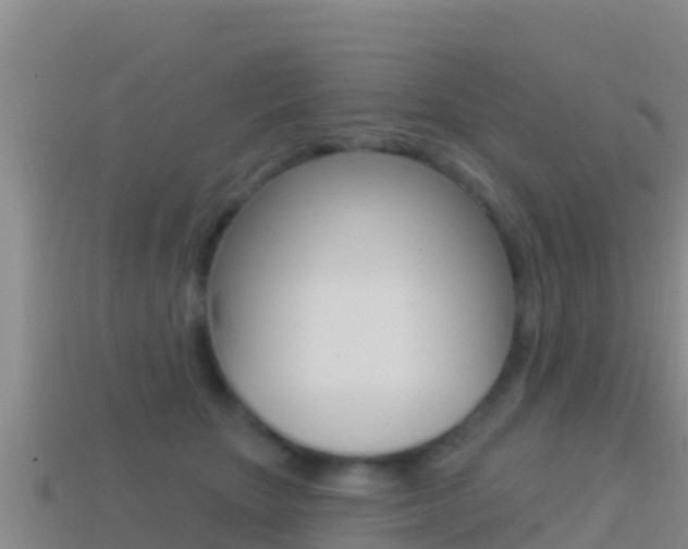 X0000114420467200910161058
