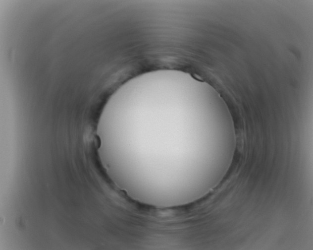 X0000114420472200910161058