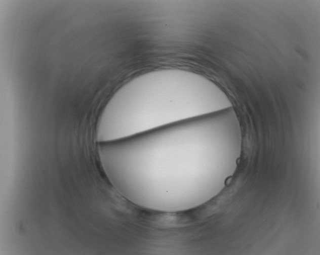 X0000114420473200910161058