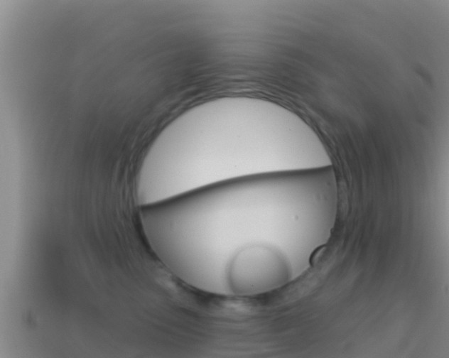 X0000114420475200910161058