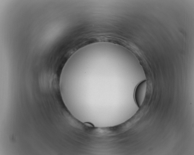 X0000114420477200910161058