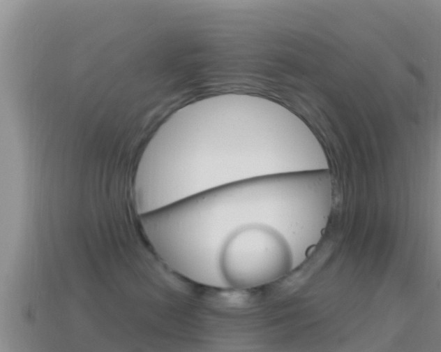 X0000114420478200910161058