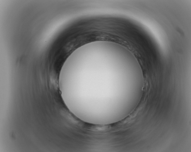 X0000114420479200910161058