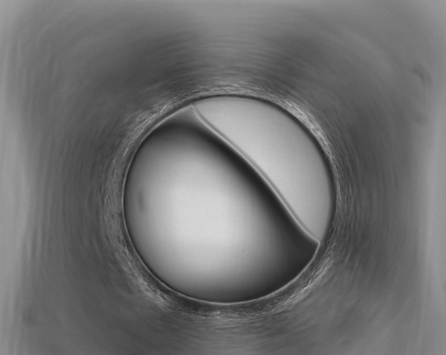 X0000114420481200910161057