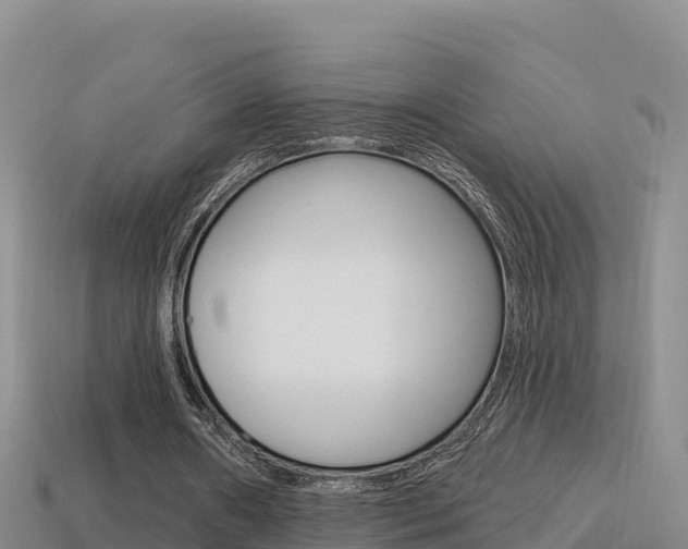 X0000114420482200910161057