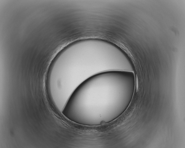 X0000114420483200910161057