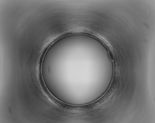 X0000114420485200910161057