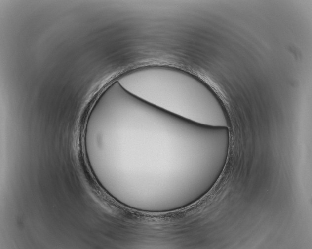 X0000114420486200910161057