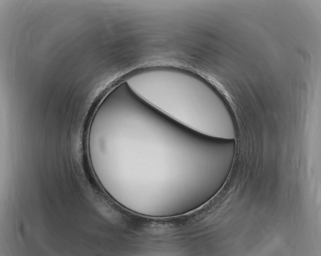 X0000114420487200910161057