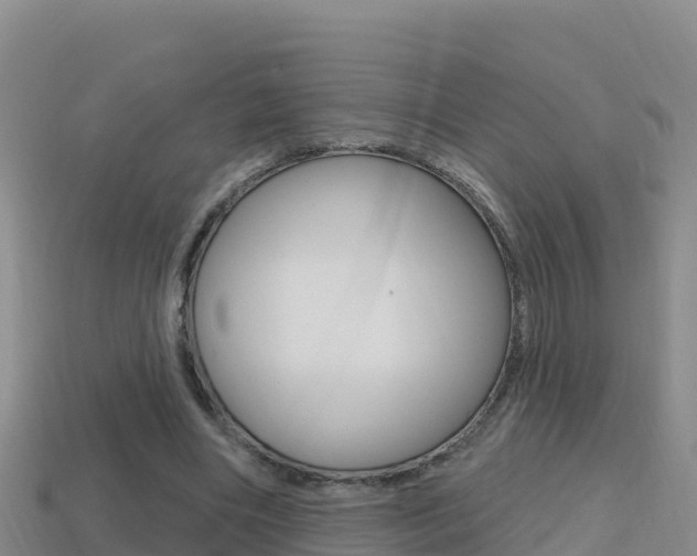 X0000114420490200910161057