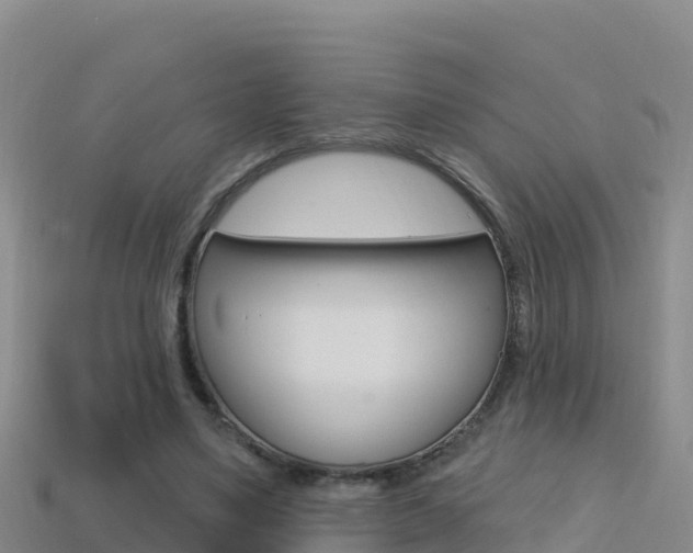 X0000114420491200910161057