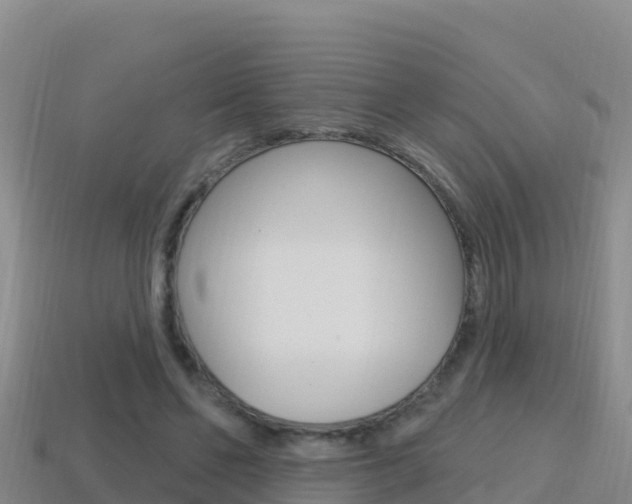 X0000114420494200910161057
