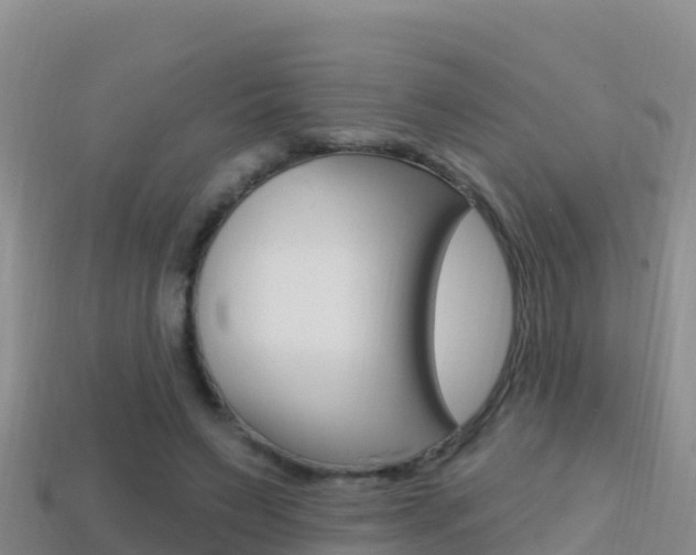 X0000114420495200910161057