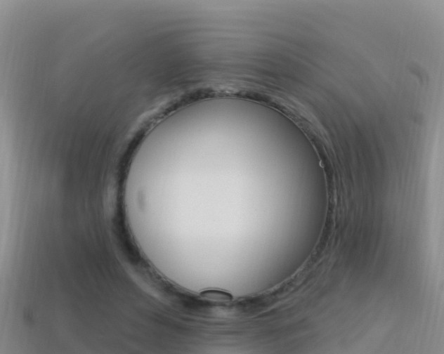X0000114420496200910161057
