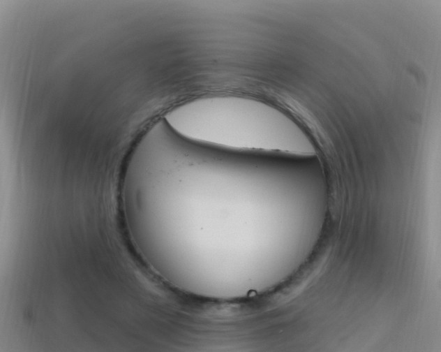 X0000114420497200910161057