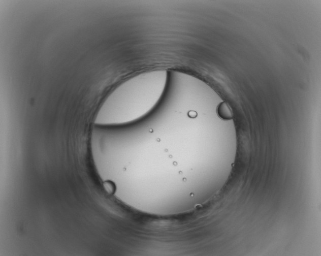 X0000114420499200910161057
