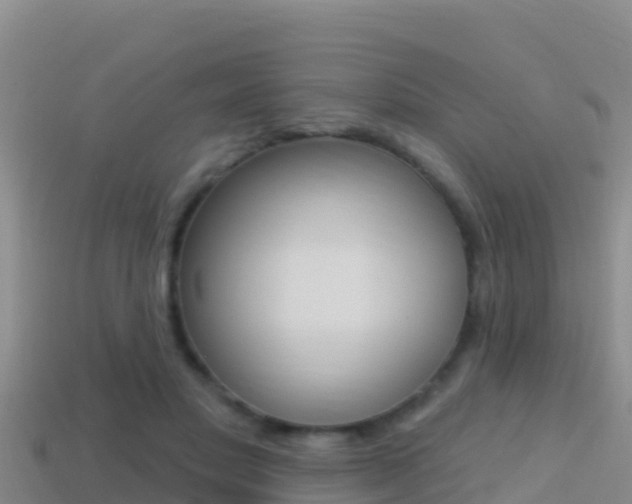 X0000114420501200910161057