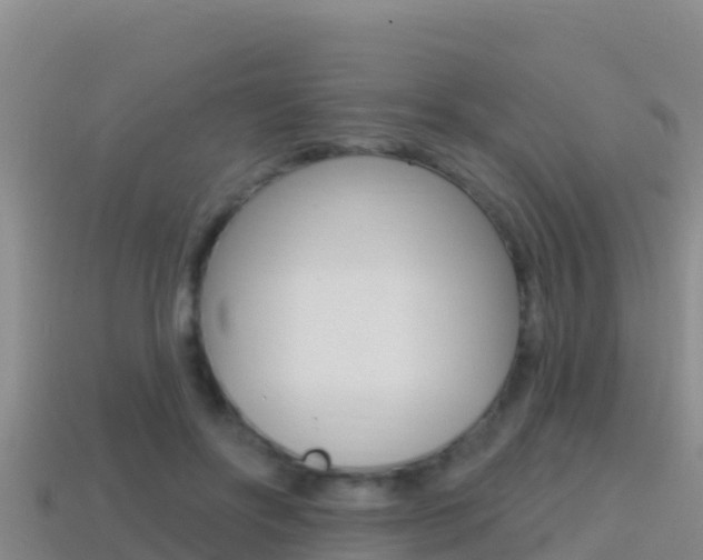 X0000114420502200910161057