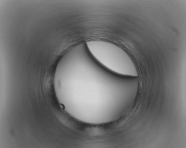 X0000114420503200910161057